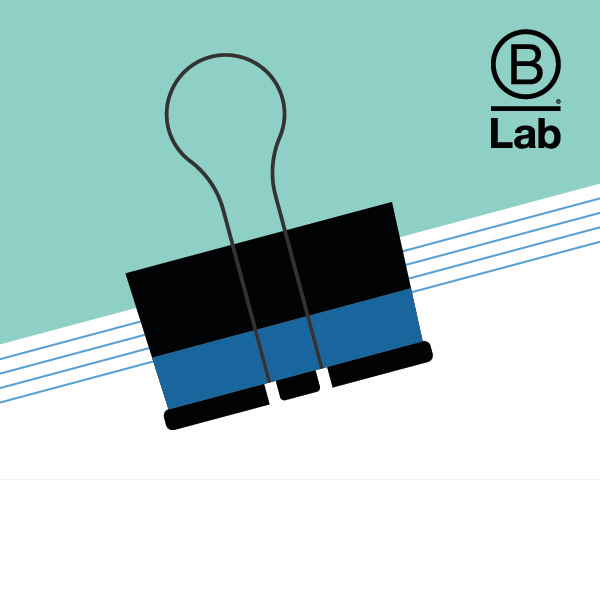 B Lab report