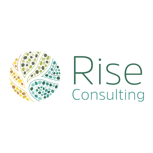 Rise Consulting
