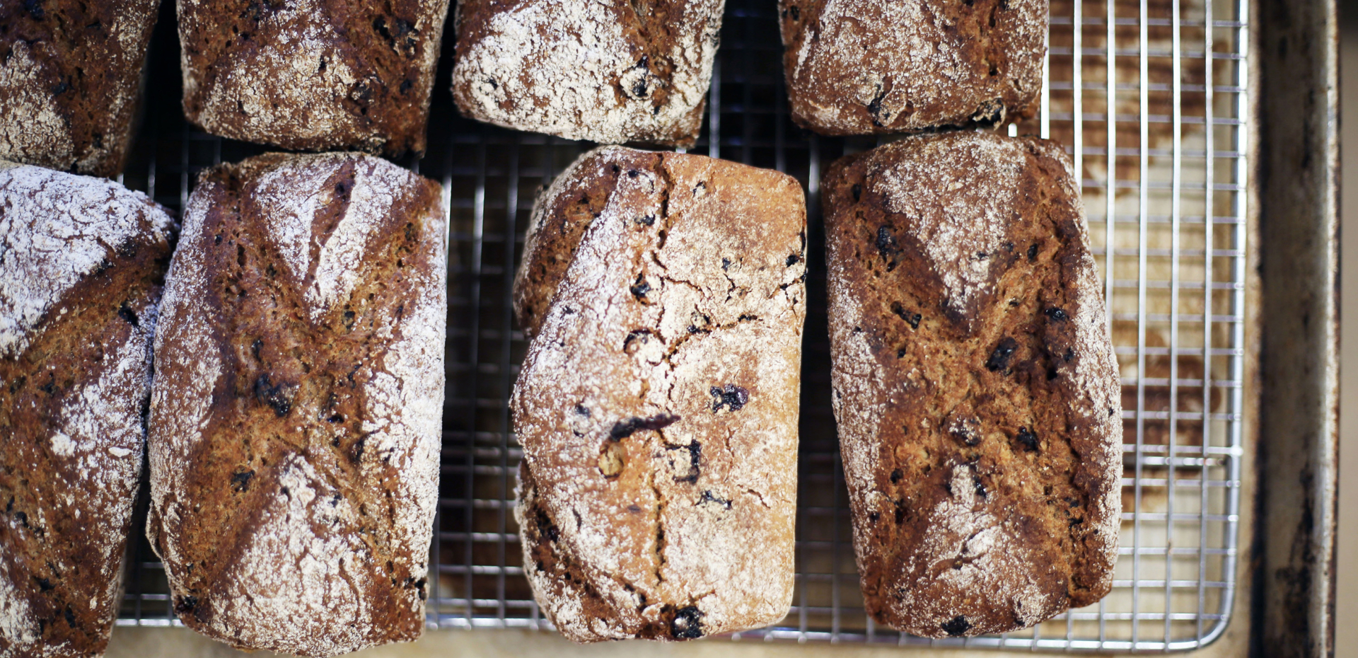 Freshly baked loaves of bread on a cooling rack