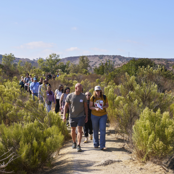 A group of people hike on a mountain trail.