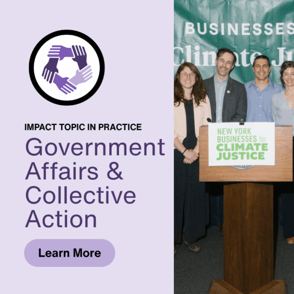 Impact Topic in Practice: Government Affairs & Collective Action
