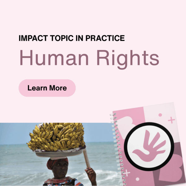 Human Rights Impact Topic in Practice Guide graphic