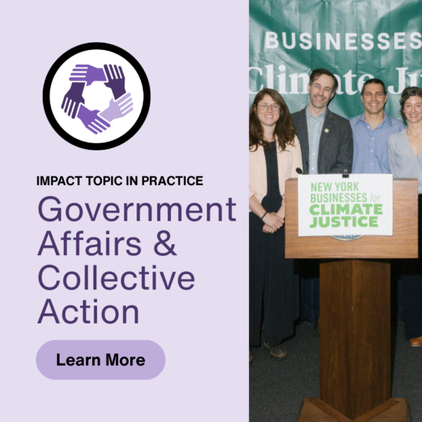 Impact Topic in Practice: Government Affairs & Collective Action