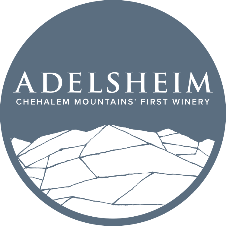 Adelsheim Chehalem Mountains' First Winery